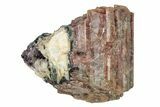 Colorful Tourmaline (Elbaite) in Microcline - Leduc Mine, Quebec #244901-1